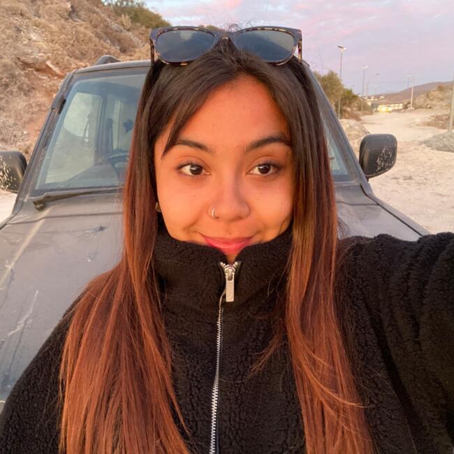 Niñera en Coquimbo: Diana