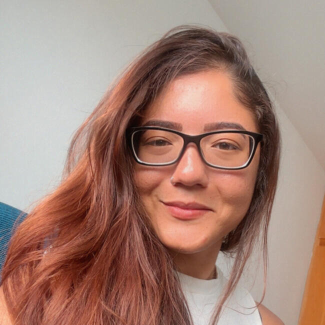 Babysitter in Montes Claros: Emilly