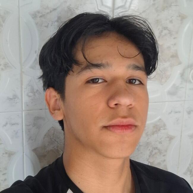 Niñera en Colonia la Loma (La loma San Isidro): Gael