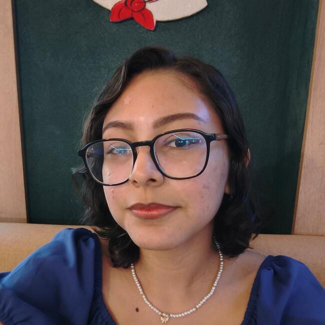 Babysitter in Barranquilla: Darlis