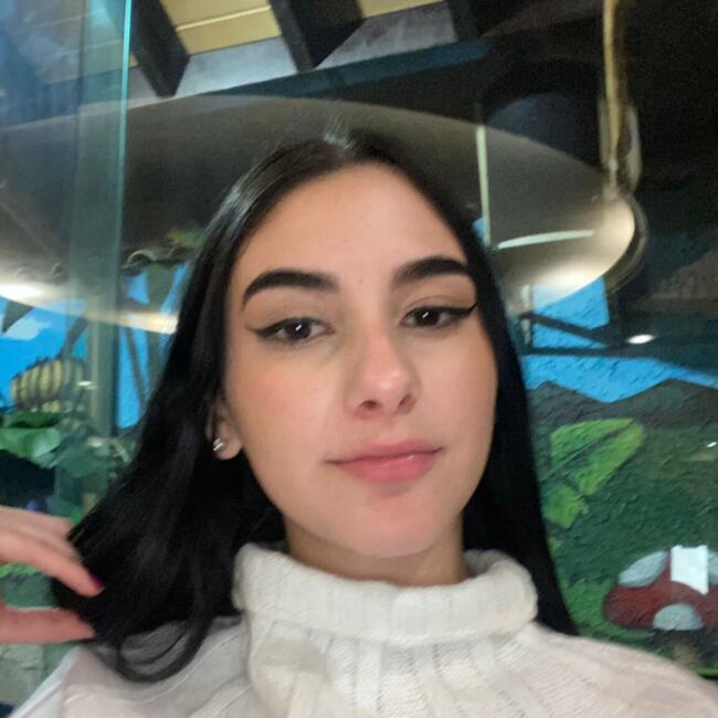Babysitter in Nova Friburgo: Kamilly