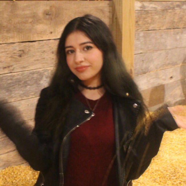 Babysitter in Chicago: Britney