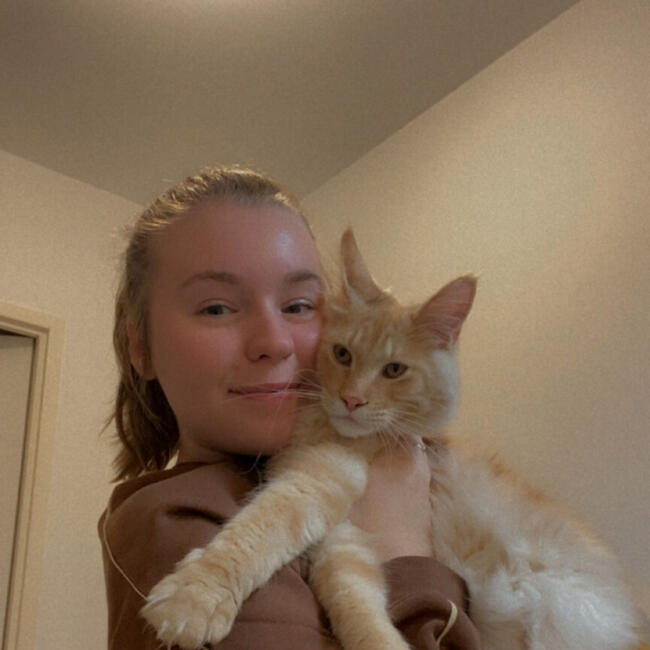 Babysitter in Évreux: Isaline