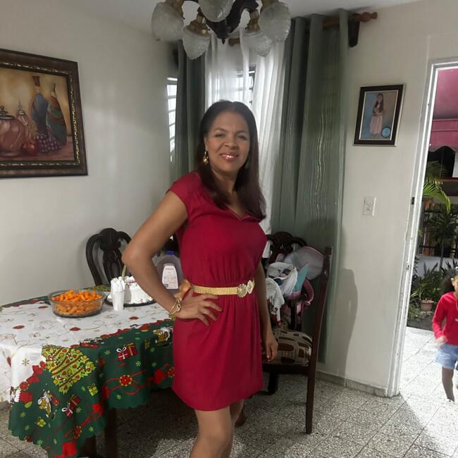 Babysitting job in Santo Domingo Este: Jsq