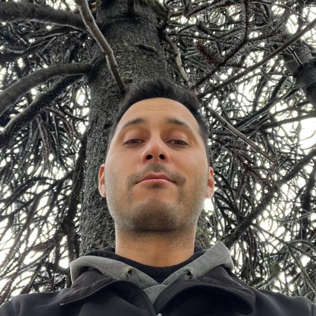 Babysitting job in Temuco: Alex