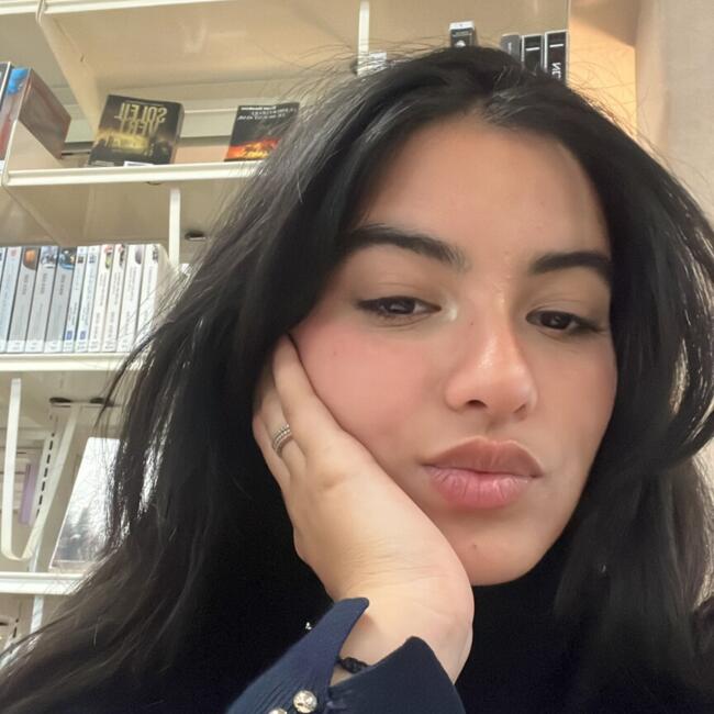 Babysitter in Ayguesvives: Rim