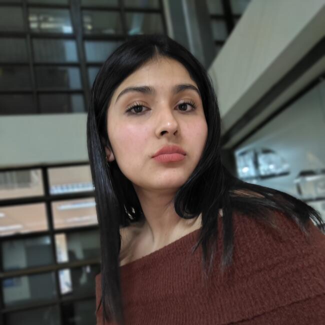 Niñera en Santiago de Chile: Anaís