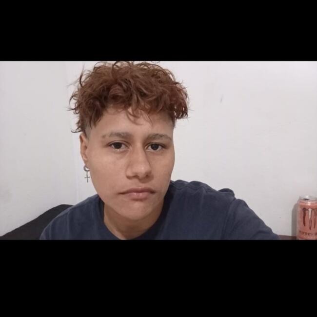 Babysitter in Ibirité: Alex