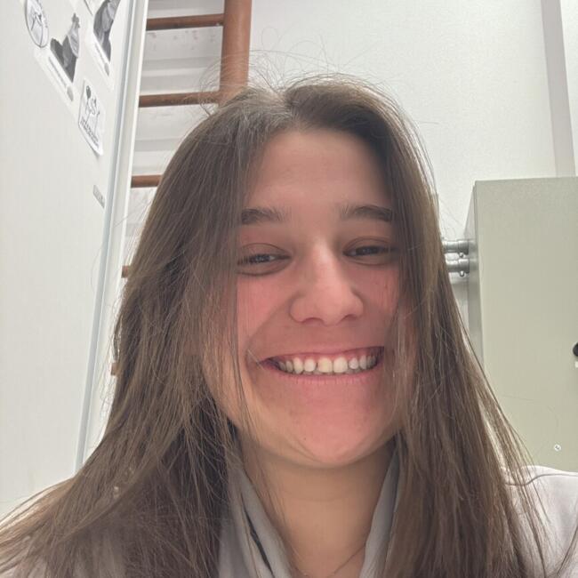 Babysitter in Camboriú: Ana cecilia