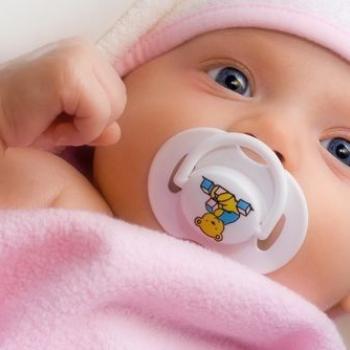 Babysitter in Hainburg an der Donau: Kristina