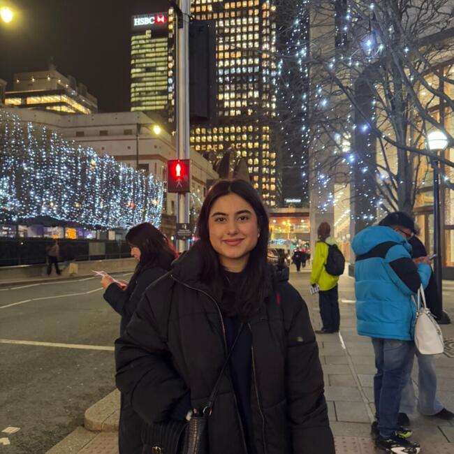 Babysitter in Wiesbaden: Sibel