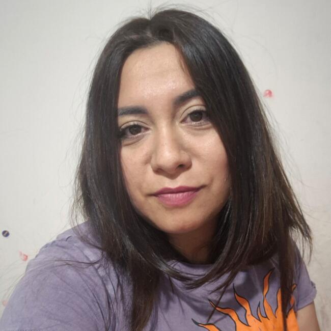Babysitting job in Santiago: Valeria