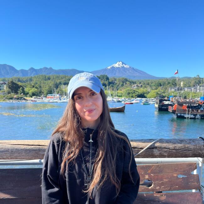 Babysitter in Villa Alemana: Andrea