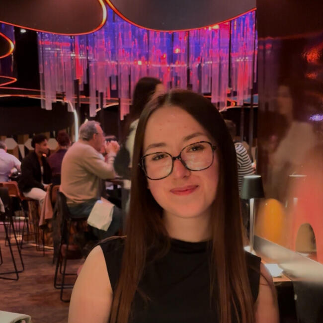 Babysitter in Toulouse: Chloe