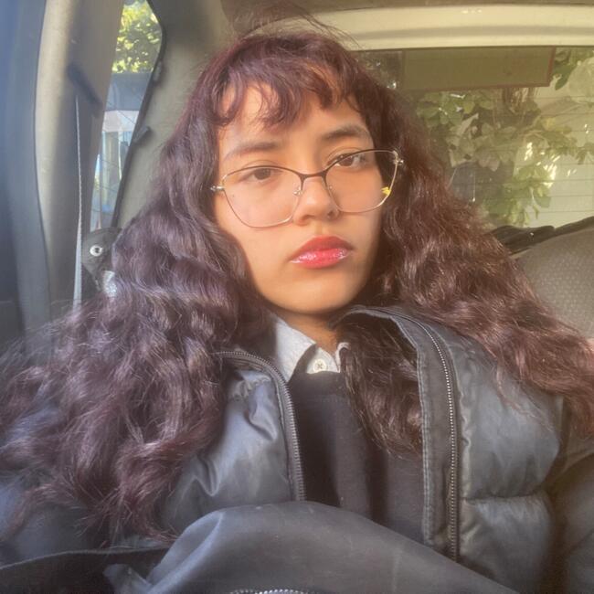 Babysitter in Asunción: Karol