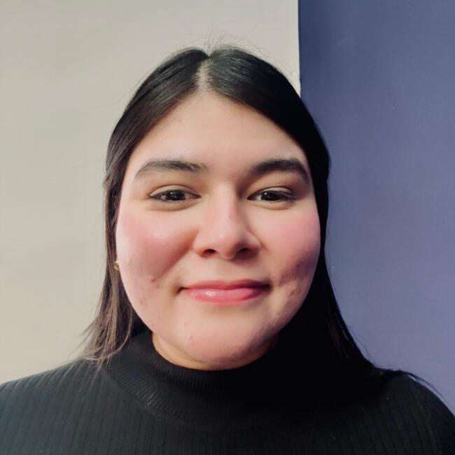 Babysitter in Dublin: Heidy