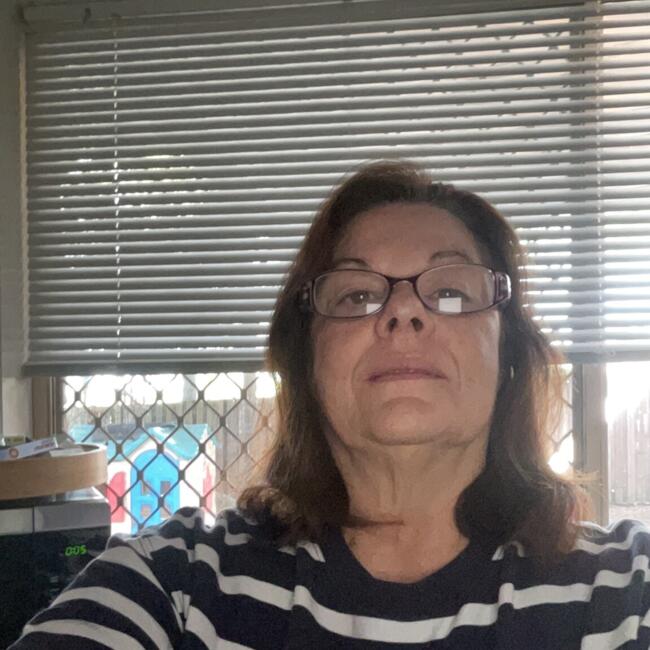 Babysitting job in Brisbane: Anna