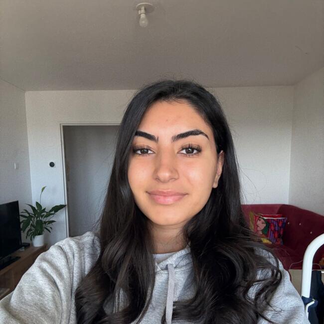 Babysitter in Saint-Maur-des-Fossés: Havin