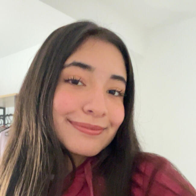 Babysitter in Castellon: Laura Sofia