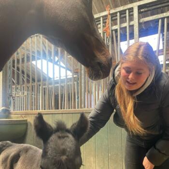 Babysitter in Soest: Caithlyn