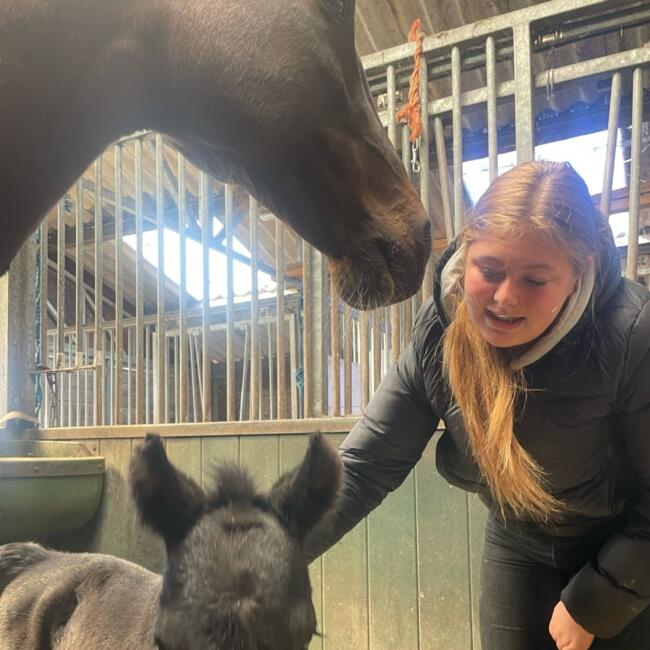 Babysitter in Soest: Caithlyn