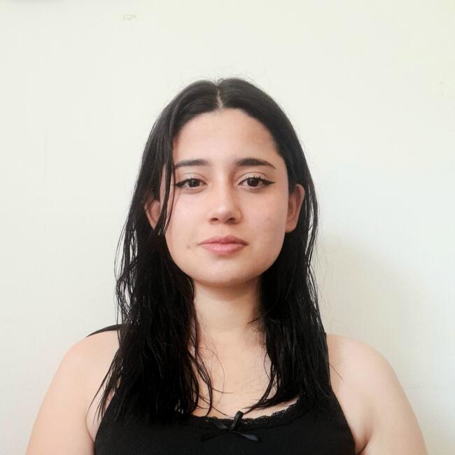 Babysitter in Viña del Mar: Allyson