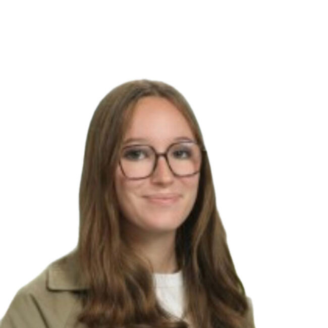 Babysitter in Auray: Sarah