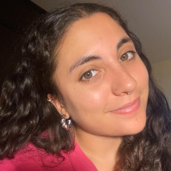 Niñera en Santiago de Chile: Karina Reyes