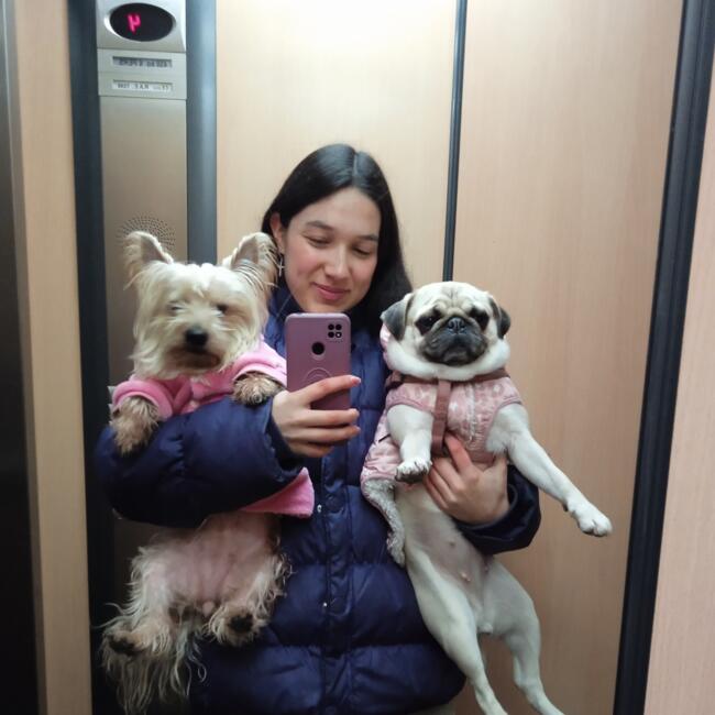 Babysitter in Burgos: Lara