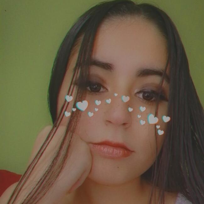 Babysitter in Coquimbo: Annaiss