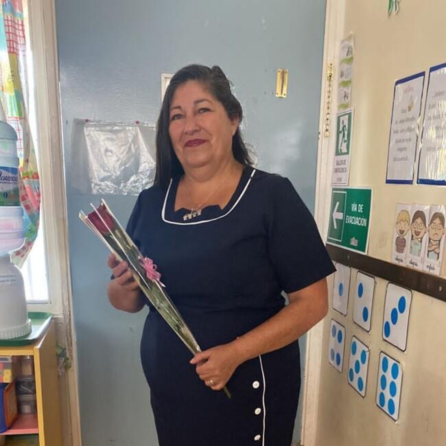 Babysitter in Antofagasta: Rosa anne