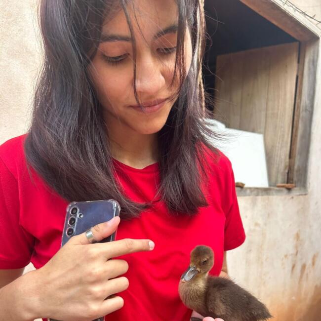 Babysitter in Nemby: Adaaa