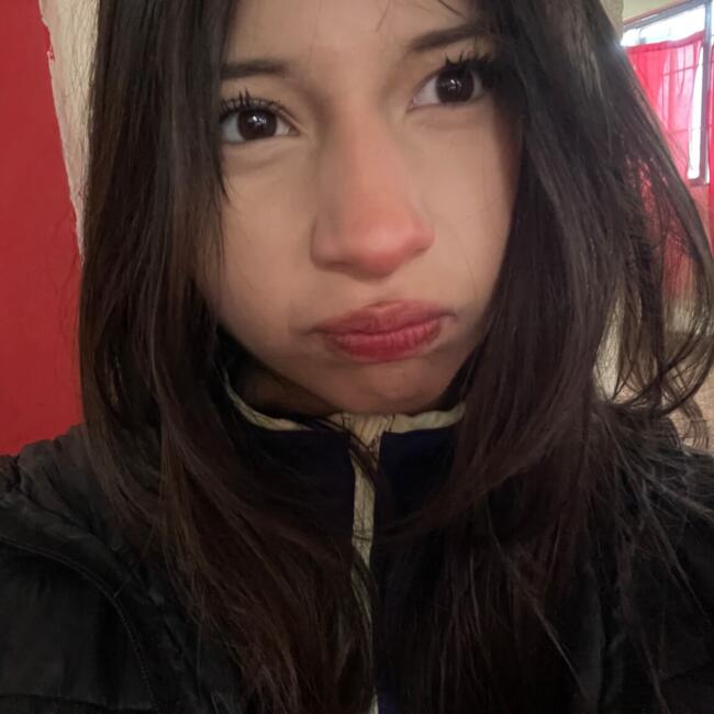 Babysitter in Saltillo: Angela