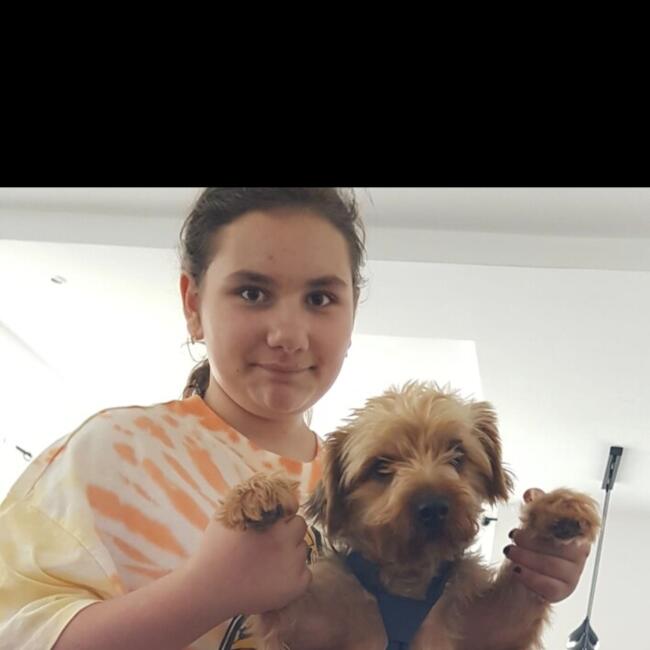 Babysitter in Quimper: Catinca