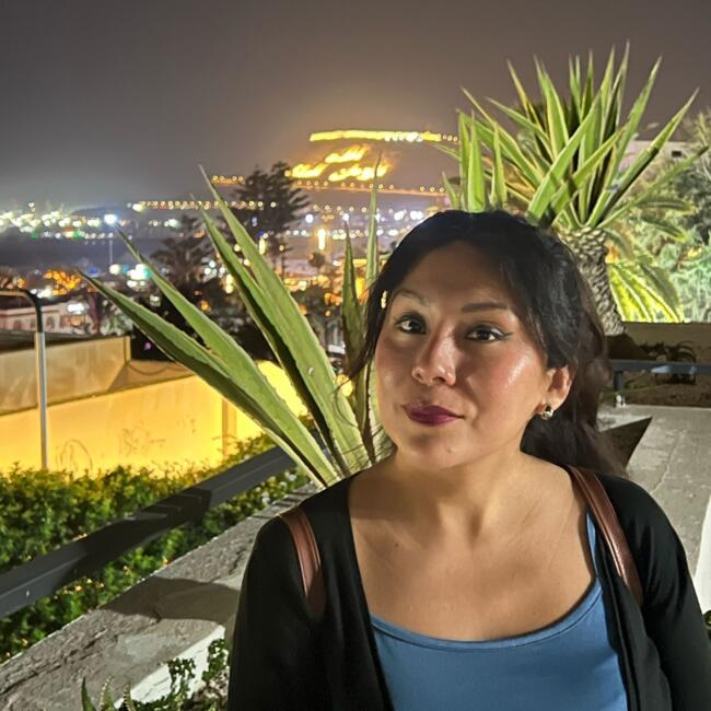 Babysitter in Louvres: Vanessita