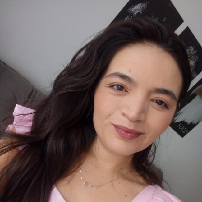 Babysitting job in Blumenau: Camila