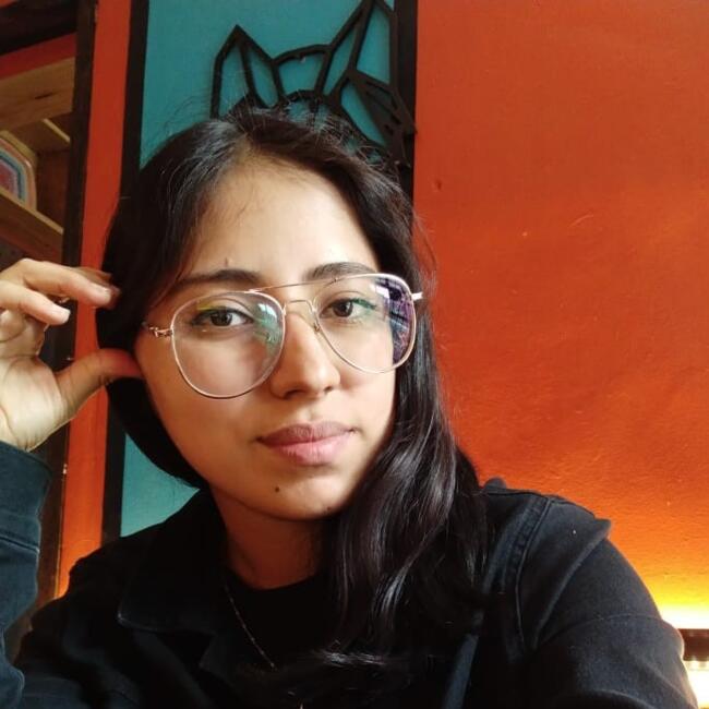 Niñera en Corregidora: Ilse Castillo