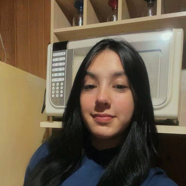 Babysitter in Caxias do Sul: Emily