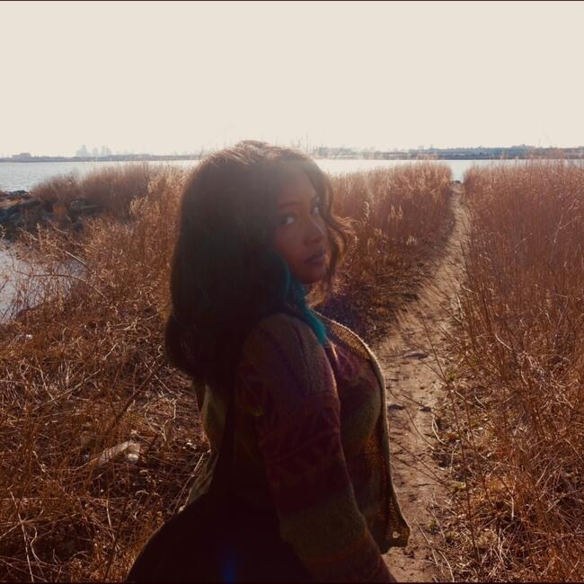 Nanny in The Bronx: Gelencia