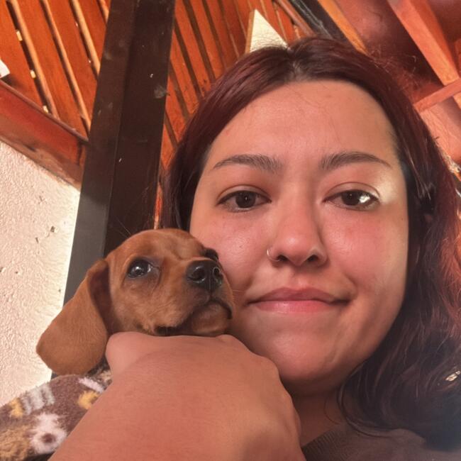 Babysitter in Rancagua: Francisca