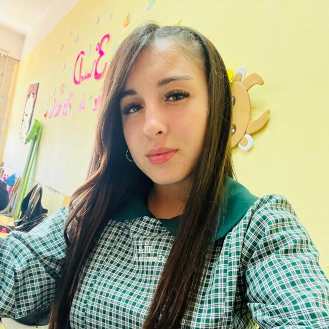Babysitter in Melipilla: Camila