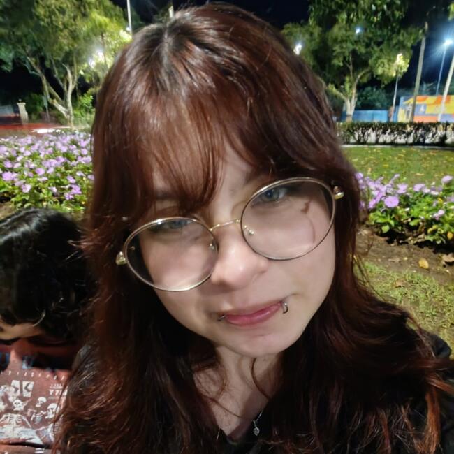 Babysitter in Itajaí: Ana Luisa