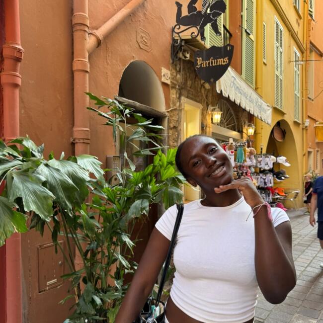 Babysitter in Meulan-en-Yvelines: Boni