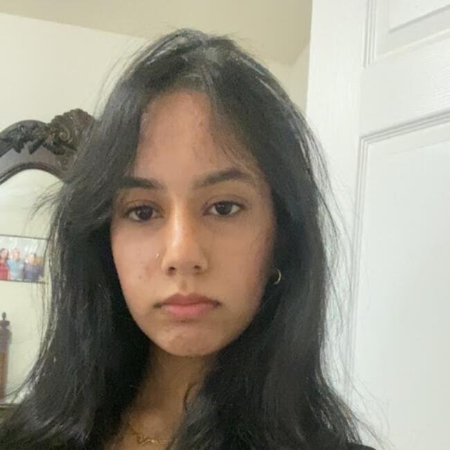 Babysitter in Morrisville (North Carolina): Sneha