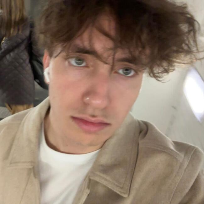 Babysitter in Jouy-en-Josas: Ryan