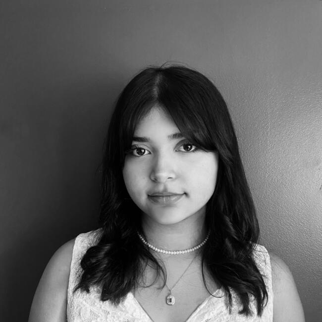 Babysitter in Asnières-sur-Seine: Ulfat