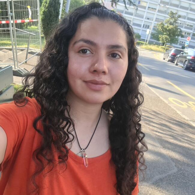 Babysitter in Onex: Lore