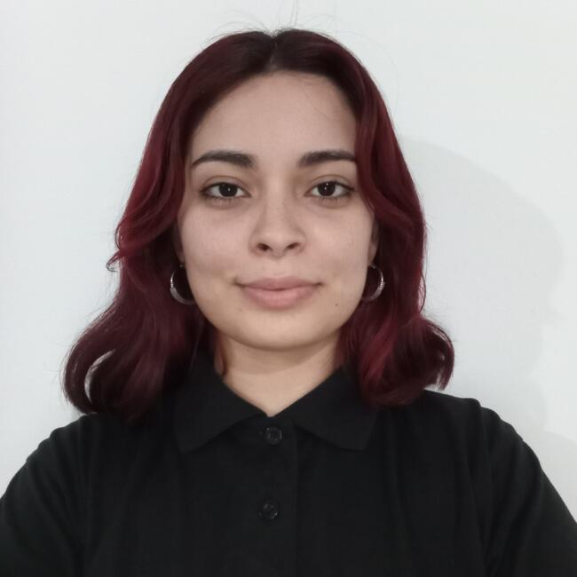 Niñera en Ciudad de Resistencia: Tatiana