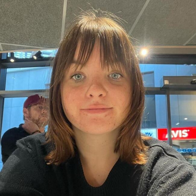 Babysitter in Rennes: Ameline