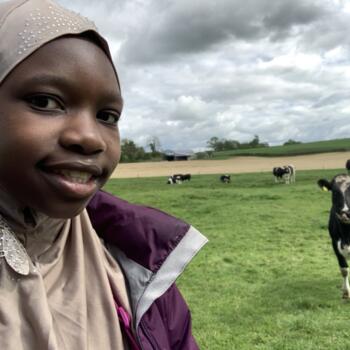 Babysitter in Kilkenny: Korgaye